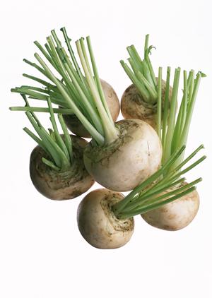 那覇空港で味わう多彩なグルメ体験！ジミー空港店の魅力と詳細ガイド